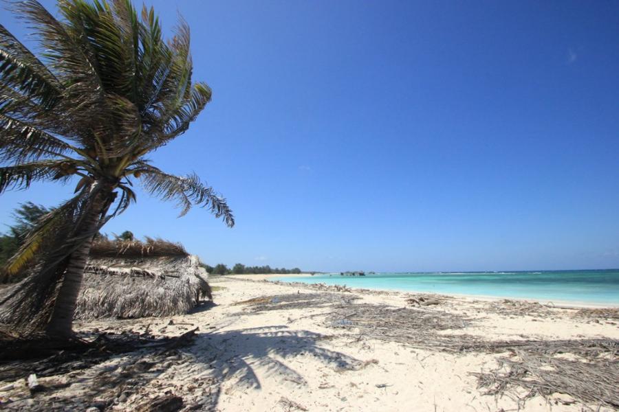 Terrain – villa - maison – propriété – à vendre – à louer – location - location longue durée – location à l’année – investissement – achat – vente – plage – bord de mer - sable blanc – Indonésie – Roti island – Bali – chambre – notaire – consultant - juridique – création - société – administration – voyage – entreprise – hôtel – commerce – restaurant – projet – visa – permis – travail – retraite – informations – découverte – aventure – produits – naturels – spa – salon – coiffure – réflexologie – savon – shampoing – anti-moustique – tourisme – plaisir – nature – surf – plongée – exploration – exotique – exotisme – massage – traditionnel – huile de massage – coucher de soleil – photos – galerie – soin de beauté – pédicure – manucure – agent immobilier – professionnel-Land - villa - house - property - for sale - rent - rental - leasing - rent annually - investment - purchase - sale - beach - sea - white sand - Indonesia - Rote island - Bali - bedroom - notary - consultant - legal - creation - company - administration - travel - business - hotel - shop - restaurant - project - visa - permit - work - retirement - information - discovery - adventure - products - natural - spa - lounge - hairdresser - reflexology - soap - shampoo – anti-mosquito – pleasure – nature – surf – diving – exploration - exotic - exotism - massage - traditional - massage oil - sunset - pictures - gallery - beauty treatment - pedicure – manicure – real estate agent – professional-Tanah - villa - rumah - properti - Dijual - disewakan - dikontrakan - menyewa per tahun - investasi - pembelian - penjualan - pantai - laut - pasir putih - Indonesia - pulau Roti - Bali - bedroom - notaris - konsultan - hukum - penciptaan - wisata - - bisnis - Hotel - bisnis - restoran - proyek - visa - izin - pekerjaan - pensiun - informasi - penemuan - petualangan - produk - spa - - alam ruang duduk - penata rambut - reflexology masyarakat - administrasi - sabun - shampoo – anti-nyamuk - Pariwisata - menyenangkan - semacam - surfing - diving – eksplorasi - eksotik - eksotis - pijat - tradisional - pijat minyak - sunset - Foto - galeri - perawatan kecantikan - pedicure – manicure – properti agen - Profesional