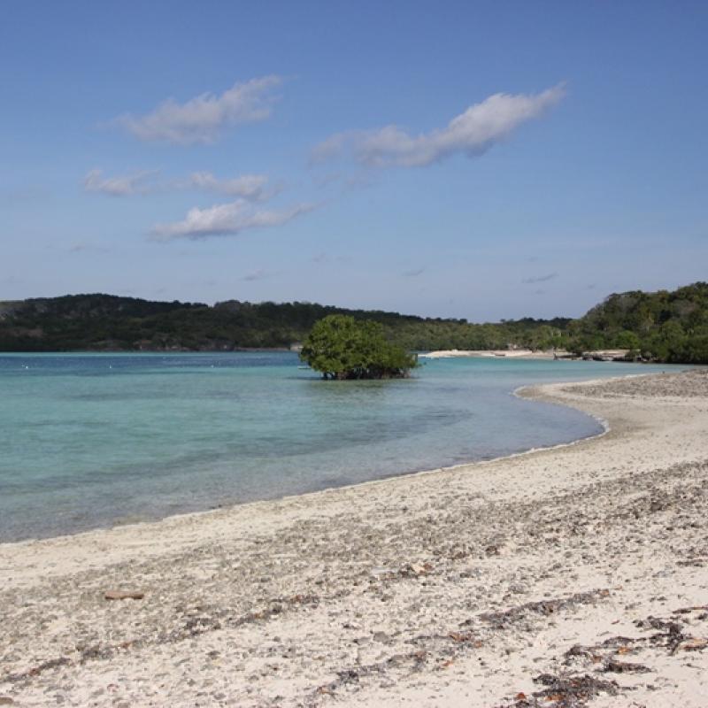 Terrain – villa - maison – propriété – à vendre – à louer – location - location longue durée – location à l’année – investissement – achat – vente – plage – bord de mer - sable blanc – Indonésie – Roti island – Bali – chambre – notaire – consultant - juridique – création - société – administration – voyage – entreprise – hôtel – commerce – restaurant – projet – visa – permis – travail – retraite – informations – découverte – aventure – produits – naturels – spa – salon – coiffure – réflexologie – savon – shampoing – anti-moustique – tourisme – plaisir – nature – surf – plongée – exploration – exotique – exotisme – massage – traditionnel – huile de massage – coucher de soleil – photos – galerie – soin de beauté – pédicure – manucure – agent immobilier – professionnel-Land - villa - house - property - for sale - rent - rental - leasing - rent annually - investment - purchase - sale - beach - sea - white sand - Indonesia - Rote island - Bali - bedroom - notary - consultant - legal - creation - company - administration - travel - business - hotel - shop - restaurant - project - visa - permit - work - retirement - information - discovery - adventure - products - natural - spa - lounge - hairdresser - reflexology - soap - shampoo – anti-mosquito – pleasure – nature – surf – diving – exploration - exotic - exotism - massage - traditional - massage oil - sunset - pictures - gallery - beauty treatment - pedicure – manicure – real estate agent – professional-Tanah - villa - rumah - properti - Dijual - disewakan - dikontrakan - menyewa per tahun - investasi - pembelian - penjualan - pantai - laut - pasir putih - Indonesia - pulau Roti - Bali - bedroom - notaris - konsultan - hukum - penciptaan - wisata - - bisnis - Hotel - bisnis - restoran - proyek - visa - izin - pekerjaan - pensiun - informasi - penemuan - petualangan - produk - spa - - alam ruang duduk - penata rambut - reflexology masyarakat - administrasi - sabun - shampoo – anti-nyamuk - Pariwisata - menyenangkan - semacam - surfing - diving – eksplorasi - eksotik - eksotis - pijat - tradisional - pijat minyak - sunset - Foto - galeri - perawatan kecantikan - pedicure – manicure – properti agen - Profesional