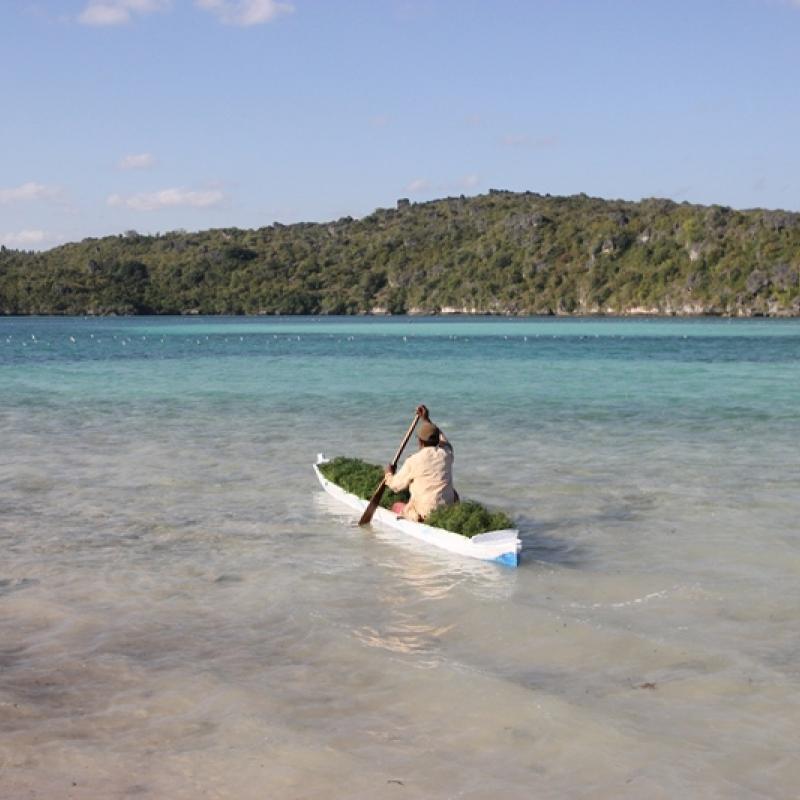 Terrain – villa - maison – propriété – à vendre – à louer – location - location longue durée – location à l’année – investissement – achat – vente – plage – bord de mer - sable blanc – Indonésie – Roti island – Bali – chambre – notaire – consultant - juridique – création - société – administration – voyage – entreprise – hôtel – commerce – restaurant – projet – visa – permis – travail – retraite – informations – découverte – aventure – produits – naturels – spa – salon – coiffure – réflexologie – savon – shampoing – anti-moustique – tourisme – plaisir – nature – surf – plongée – exploration – exotique – exotisme – massage – traditionnel – huile de massage – coucher de soleil – photos – galerie – soin de beauté – pédicure – manucure – agent immobilier – professionnel-Land - villa - house - property - for sale - rent - rental - leasing - rent annually - investment - purchase - sale - beach - sea - white sand - Indonesia - Rote island - Bali - bedroom - notary - consultant - legal - creation - company - administration - travel - business - hotel - shop - restaurant - project - visa - permit - work - retirement - information - discovery - adventure - products - natural - spa - lounge - hairdresser - reflexology - soap - shampoo – anti-mosquito – pleasure – nature – surf – diving – exploration - exotic - exotism - massage - traditional - massage oil - sunset - pictures - gallery - beauty treatment - pedicure – manicure – real estate agent – professional-Tanah - villa - rumah - properti - Dijual - disewakan - dikontrakan - menyewa per tahun - investasi - pembelian - penjualan - pantai - laut - pasir putih - Indonesia - pulau Roti - Bali - bedroom - notaris - konsultan - hukum - penciptaan - wisata - - bisnis - Hotel - bisnis - restoran - proyek - visa - izin - pekerjaan - pensiun - informasi - penemuan - petualangan - produk - spa - - alam ruang duduk - penata rambut - reflexology masyarakat - administrasi - sabun - shampoo – anti-nyamuk - Pariwisata - menyenangkan - semacam - surfing - diving – eksplorasi - eksotik - eksotis - pijat - tradisional - pijat minyak - sunset - Foto - galeri - perawatan kecantikan - pedicure – manicure – properti agen - Profesional