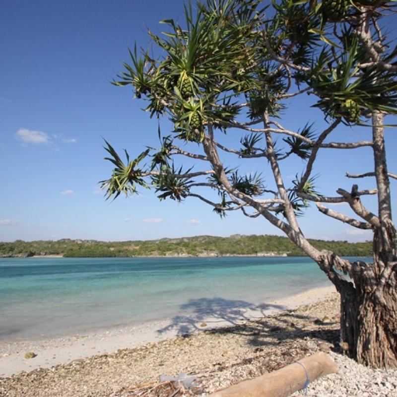 Terrain – villa - maison – propriété – à vendre – à louer – location - location longue durée – location à l’année – investissement – achat – vente – plage – bord de mer - sable blanc – Indonésie – Roti island – Bali – chambre – notaire – consultant - juridique – création - société – administration – voyage – entreprise – hôtel – commerce – restaurant – projet – visa – permis – travail – retraite – informations – découverte – aventure – produits – naturels – spa – salon – coiffure – réflexologie – savon – shampoing – anti-moustique – tourisme – plaisir – nature – surf – plongée – exploration – exotique – exotisme – massage – traditionnel – huile de massage – coucher de soleil – photos – galerie – soin de beauté – pédicure – manucure – agent immobilier – professionnel-Land - villa - house - property - for sale - rent - rental - leasing - rent annually - investment - purchase - sale - beach - sea - white sand - Indonesia - Rote island - Bali - bedroom - notary - consultant - legal - creation - company - administration - travel - business - hotel - shop - restaurant - project - visa - permit - work - retirement - information - discovery - adventure - products - natural - spa - lounge - hairdresser - reflexology - soap - shampoo – anti-mosquito – pleasure – nature – surf – diving – exploration - exotic - exotism - massage - traditional - massage oil - sunset - pictures - gallery - beauty treatment - pedicure – manicure – real estate agent – professional-Tanah - villa - rumah - properti - Dijual - disewakan - dikontrakan - menyewa per tahun - investasi - pembelian - penjualan - pantai - laut - pasir putih - Indonesia - pulau Roti - Bali - bedroom - notaris - konsultan - hukum - penciptaan - wisata - - bisnis - Hotel - bisnis - restoran - proyek - visa - izin - pekerjaan - pensiun - informasi - penemuan - petualangan - produk - spa - - alam ruang duduk - penata rambut - reflexology masyarakat - administrasi - sabun - shampoo – anti-nyamuk - Pariwisata - menyenangkan - semacam - surfing - diving – eksplorasi - eksotik - eksotis - pijat - tradisional - pijat minyak - sunset - Foto - galeri - perawatan kecantikan - pedicure – manicure – properti agen - Profesional