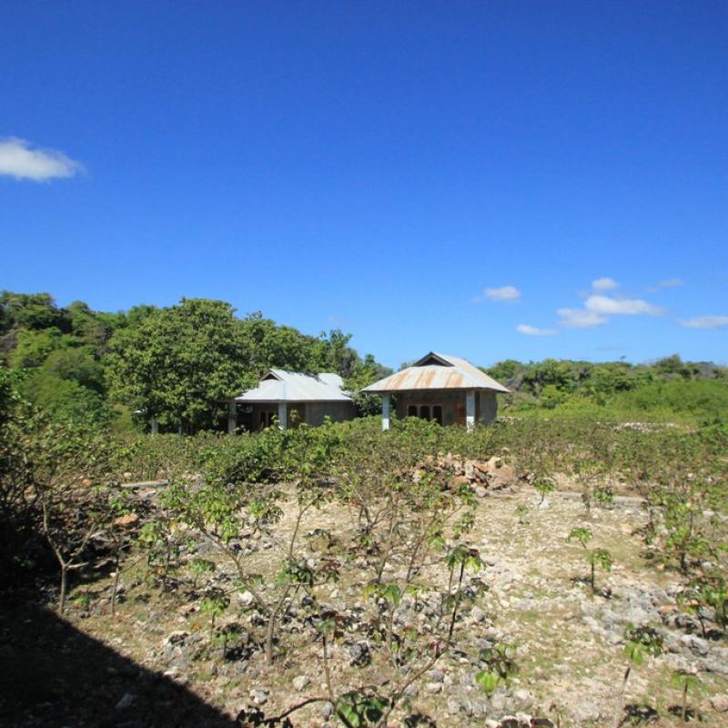 Terrain – villa - maison – propriété – à vendre – à louer – location - location longue durée – location à l’année – investissement – achat – vente – plage – bord de mer - sable blanc – Indonésie – Roti island – Bali – chambre – notaire – consultant - juridique – création - société – administration – voyage – entreprise – hôtel – commerce – restaurant – projet – visa – permis – travail – retraite – informations – découverte – aventure – produits – naturels – spa – salon – coiffure – réflexologie – savon – shampoing – anti-moustique – tourisme – plaisir – nature – surf – plongée – exploration – exotique – exotisme – massage – traditionnel – huile de massage – coucher de soleil – photos – galerie – soin de beauté – pédicure – manucure – agent immobilier – professionnel-Land - villa - house - property - for sale - rent - rental - leasing - rent annually - investment - purchase - sale - beach - sea - white sand - Indonesia - Rote island - Bali - bedroom - notary - consultant - legal - creation - company - administration - travel - business - hotel - shop - restaurant - project - visa - permit - work - retirement - information - discovery - adventure - products - natural - spa - lounge - hairdresser - reflexology - soap - shampoo – anti-mosquito – pleasure – nature – surf – diving – exploration - exotic - exotism - massage - traditional - massage oil - sunset - pictures - gallery - beauty treatment - pedicure – manicure – real estate agent – professional-Tanah - villa - rumah - properti - Dijual - disewakan - dikontrakan - menyewa per tahun - investasi - pembelian - penjualan - pantai - laut - pasir putih - Indonesia - pulau Roti - Bali - bedroom - notaris - konsultan - hukum - penciptaan - wisata - - bisnis - Hotel - bisnis - restoran - proyek - visa - izin - pekerjaan - pensiun - informasi - penemuan - petualangan - produk - spa - - alam ruang duduk - penata rambut - reflexology masyarakat - administrasi - sabun - shampoo – anti-nyamuk - Pariwisata - menyenangkan - semacam - surfing - diving – eksplorasi - eksotik - eksotis - pijat - tradisional - pijat minyak - sunset - Foto - galeri - perawatan kecantikan - pedicure – manicure – properti agen - Profesional