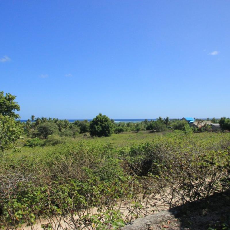 Terrain – villa - maison – propriété – à vendre – à louer – location - location longue durée – location à l’année – investissement – achat – vente – plage – bord de mer - sable blanc – Indonésie – Roti island – Bali – chambre – notaire – consultant - juridique – création - société – administration – voyage – entreprise – hôtel – commerce – restaurant – projet – visa – permis – travail – retraite – informations – découverte – aventure – produits – naturels – spa – salon – coiffure – réflexologie – savon – shampoing – anti-moustique – tourisme – plaisir – nature – surf – plongée – exploration – exotique – exotisme – massage – traditionnel – huile de massage – coucher de soleil – photos – galerie – soin de beauté – pédicure – manucure – agent immobilier – professionnel-Land - villa - house - property - for sale - rent - rental - leasing - rent annually - investment - purchase - sale - beach - sea - white sand - Indonesia - Rote island - Bali - bedroom - notary - consultant - legal - creation - company - administration - travel - business - hotel - shop - restaurant - project - visa - permit - work - retirement - information - discovery - adventure - products - natural - spa - lounge - hairdresser - reflexology - soap - shampoo – anti-mosquito – pleasure – nature – surf – diving – exploration - exotic - exotism - massage - traditional - massage oil - sunset - pictures - gallery - beauty treatment - pedicure – manicure – real estate agent – professional-Tanah - villa - rumah - properti - Dijual - disewakan - dikontrakan - menyewa per tahun - investasi - pembelian - penjualan - pantai - laut - pasir putih - Indonesia - pulau Roti - Bali - bedroom - notaris - konsultan - hukum - penciptaan - wisata - - bisnis - Hotel - bisnis - restoran - proyek - visa - izin - pekerjaan - pensiun - informasi - penemuan - petualangan - produk - spa - - alam ruang duduk - penata rambut - reflexology masyarakat - administrasi - sabun - shampoo – anti-nyamuk - Pariwisata - menyenangkan - semacam - surfing - diving – eksplorasi - eksotik - eksotis - pijat - tradisional - pijat minyak - sunset - Foto - galeri - perawatan kecantikan - pedicure – manicure – properti agen - Profesional