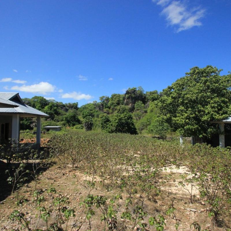 Terrain – villa - maison – propriété – à vendre – à louer – location - location longue durée – location à l’année – investissement – achat – vente – plage – bord de mer - sable blanc – Indonésie – Roti island – Bali – chambre – notaire – consultant - juridique – création - société – administration – voyage – entreprise – hôtel – commerce – restaurant – projet – visa – permis – travail – retraite – informations – découverte – aventure – produits – naturels – spa – salon – coiffure – réflexologie – savon – shampoing – anti-moustique – tourisme – plaisir – nature – surf – plongée – exploration – exotique – exotisme – massage – traditionnel – huile de massage – coucher de soleil – photos – galerie – soin de beauté – pédicure – manucure – agent immobilier – professionnel-Land - villa - house - property - for sale - rent - rental - leasing - rent annually - investment - purchase - sale - beach - sea - white sand - Indonesia - Rote island - Bali - bedroom - notary - consultant - legal - creation - company - administration - travel - business - hotel - shop - restaurant - project - visa - permit - work - retirement - information - discovery - adventure - products - natural - spa - lounge - hairdresser - reflexology - soap - shampoo – anti-mosquito – pleasure – nature – surf – diving – exploration - exotic - exotism - massage - traditional - massage oil - sunset - pictures - gallery - beauty treatment - pedicure – manicure – real estate agent – professional-Tanah - villa - rumah - properti - Dijual - disewakan - dikontrakan - menyewa per tahun - investasi - pembelian - penjualan - pantai - laut - pasir putih - Indonesia - pulau Roti - Bali - bedroom - notaris - konsultan - hukum - penciptaan - wisata - - bisnis - Hotel - bisnis - restoran - proyek - visa - izin - pekerjaan - pensiun - informasi - penemuan - petualangan - produk - spa - - alam ruang duduk - penata rambut - reflexology masyarakat - administrasi - sabun - shampoo – anti-nyamuk - Pariwisata - menyenangkan - semacam - surfing - diving – eksplorasi - eksotik - eksotis - pijat - tradisional - pijat minyak - sunset - Foto - galeri - perawatan kecantikan - pedicure – manicure – properti agen - Profesional