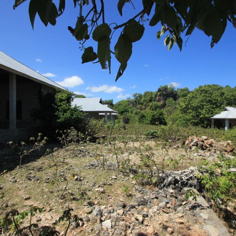 Terrain – villa - maison – propriété – à vendre – à louer – location - location longue durée – location à l’année – investissement – achat – vente – plage – bord de mer - sable blanc – Indonésie – Roti island – Bali – chambre – notaire – consultant - juridique – création - société – administration – voyage – entreprise – hôtel – commerce – restaurant – projet – visa – permis – travail – retraite – informations – découverte – aventure – produits – naturels – spa – salon – coiffure – réflexologie – savon – shampoing – anti-moustique – tourisme – plaisir – nature – surf – plongée – exploration – exotique – exotisme – massage – traditionnel – huile de massage – coucher de soleil – photos – galerie – soin de beauté – pédicure – manucure – agent immobilier – professionnel-Land - villa - house - property - for sale - rent - rental - leasing - rent annually - investment - purchase - sale - beach - sea - white sand - Indonesia - Rote island - Bali - bedroom - notary - consultant - legal - creation - company - administration - travel - business - hotel - shop - restaurant - project - visa - permit - work - retirement - information - discovery - adventure - products - natural - spa - lounge - hairdresser - reflexology - soap - shampoo – anti-mosquito – pleasure – nature – surf – diving – exploration - exotic - exotism - massage - traditional - massage oil - sunset - pictures - gallery - beauty treatment - pedicure – manicure – real estate agent – professional-Tanah - villa - rumah - properti - Dijual - disewakan - dikontrakan - menyewa per tahun - investasi - pembelian - penjualan - pantai - laut - pasir putih - Indonesia - pulau Roti - Bali - bedroom - notaris - konsultan - hukum - penciptaan - wisata - - bisnis - Hotel - bisnis - restoran - proyek - visa - izin - pekerjaan - pensiun - informasi - penemuan - petualangan - produk - spa - - alam ruang duduk - penata rambut - reflexology masyarakat - administrasi - sabun - shampoo – anti-nyamuk - Pariwisata - menyenangkan - semacam - surfing - diving – eksplorasi - eksotik - eksotis - pijat - tradisional - pijat minyak - sunset - Foto - galeri - perawatan kecantikan - pedicure – manicure – properti agen - Profesional