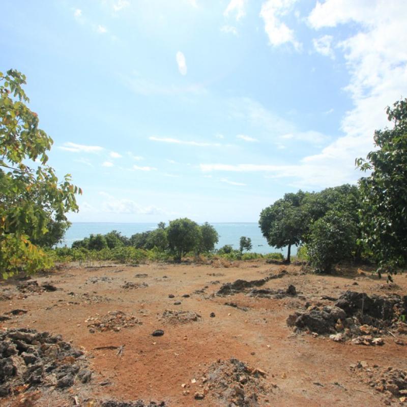 Terrain – villa - maison – propriété – à vendre – à louer – location - location longue durée – location à l’année – investissement – achat – vente – plage – bord de mer - sable blanc – Indonésie – Roti island – Bali – chambre – notaire – consultant - juridique – création - société – administration – voyage – entreprise – hôtel – commerce – restaurant – projet – visa – permis – travail – retraite – informations – découverte – aventure – produits – naturels – spa – salon – coiffure – réflexologie – savon – shampoing – anti-moustique – tourisme – plaisir – nature – surf – plongée – exploration – exotique – exotisme – massage – traditionnel – huile de massage – coucher de soleil – photos – galerie – soin de beauté – pédicure – manucure – agent immobilier – professionnel-Land - villa - house - property - for sale - rent - rental - leasing - rent annually - investment - purchase - sale - beach - sea - white sand - Indonesia - Rote island - Bali - bedroom - notary - consultant - legal - creation - company - administration - travel - business - hotel - shop - restaurant - project - visa - permit - work - retirement - information - discovery - adventure - products - natural - spa - lounge - hairdresser - reflexology - soap - shampoo – anti-mosquito – pleasure – nature – surf – diving – exploration - exotic - exotism - massage - traditional - massage oil - sunset - pictures - gallery - beauty treatment - pedicure – manicure – real estate agent – professional-Tanah - villa - rumah - properti - Dijual - disewakan - dikontrakan - menyewa per tahun - investasi - pembelian - penjualan - pantai - laut - pasir putih - Indonesia - pulau Roti - Bali - bedroom - notaris - konsultan - hukum - penciptaan - wisata - - bisnis - Hotel - bisnis - restoran - proyek - visa - izin - pekerjaan - pensiun - informasi - penemuan - petualangan - produk - spa - - alam ruang duduk - penata rambut - reflexology masyarakat - administrasi - sabun - shampoo – anti-nyamuk - Pariwisata - menyenangkan - semacam - surfing - diving – eksplorasi - eksotik - eksotis - pijat - tradisional - pijat minyak - sunset - Foto - galeri - perawatan kecantikan - pedicure – manicure – properti agen - Profesional