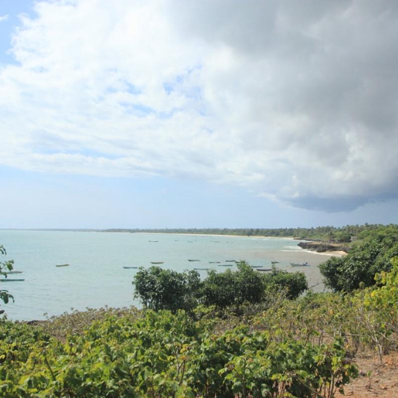 Terrain – villa - maison – propriété – à vendre – à louer – location - location longue durée – location à l’année – investissement – achat – vente – plage – bord de mer - sable blanc – Indonésie – Roti island – Bali – chambre – notaire – consultant - juridique – création - société – administration – voyage – entreprise – hôtel – commerce – restaurant – projet – visa – permis – travail – retraite – informations – découverte – aventure – produits – naturels – spa – salon – coiffure – réflexologie – savon – shampoing – anti-moustique – tourisme – plaisir – nature – surf – plongée – exploration – exotique – exotisme – massage – traditionnel – huile de massage – coucher de soleil – photos – galerie – soin de beauté – pédicure – manucure – agent immobilier – professionnel-Land - villa - house - property - for sale - rent - rental - leasing - rent annually - investment - purchase - sale - beach - sea - white sand - Indonesia - Rote island - Bali - bedroom - notary - consultant - legal - creation - company - administration - travel - business - hotel - shop - restaurant - project - visa - permit - work - retirement - information - discovery - adventure - products - natural - spa - lounge - hairdresser - reflexology - soap - shampoo – anti-mosquito – pleasure – nature – surf – diving – exploration - exotic - exotism - massage - traditional - massage oil - sunset - pictures - gallery - beauty treatment - pedicure – manicure – real estate agent – professional-Tanah - villa - rumah - properti - Dijual - disewakan - dikontrakan - menyewa per tahun - investasi - pembelian - penjualan - pantai - laut - pasir putih - Indonesia - pulau Roti - Bali - bedroom - notaris - konsultan - hukum - penciptaan - wisata - - bisnis - Hotel - bisnis - restoran - proyek - visa - izin - pekerjaan - pensiun - informasi - penemuan - petualangan - produk - spa - - alam ruang duduk - penata rambut - reflexology masyarakat - administrasi - sabun - shampoo – anti-nyamuk - Pariwisata - menyenangkan - semacam - surfing - diving – eksplorasi - eksotik - eksotis - pijat - tradisional - pijat minyak - sunset - Foto - galeri - perawatan kecantikan - pedicure – manicure – properti agen - Profesional