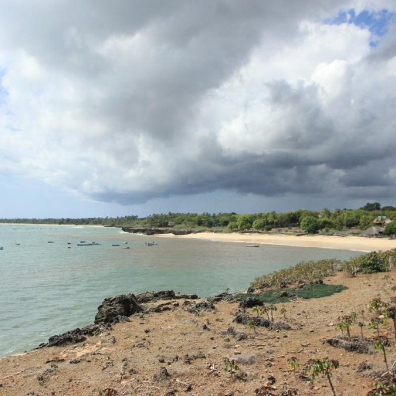 Terrain – villa - maison – propriété – à vendre – à louer – location - location longue durée – location à l’année – investissement – achat – vente – plage – bord de mer - sable blanc – Indonésie – Roti island – Bali – chambre – notaire – consultant - juridique – création - société – administration – voyage – entreprise – hôtel – commerce – restaurant – projet – visa – permis – travail – retraite – informations – découverte – aventure – produits – naturels – spa – salon – coiffure – réflexologie – savon – shampoing – anti-moustique – tourisme – plaisir – nature – surf – plongée – exploration – exotique – exotisme – massage – traditionnel – huile de massage – coucher de soleil – photos – galerie – soin de beauté – pédicure – manucure – agent immobilier – professionnel-Land - villa - house - property - for sale - rent - rental - leasing - rent annually - investment - purchase - sale - beach - sea - white sand - Indonesia - Rote island - Bali - bedroom - notary - consultant - legal - creation - company - administration - travel - business - hotel - shop - restaurant - project - visa - permit - work - retirement - information - discovery - adventure - products - natural - spa - lounge - hairdresser - reflexology - soap - shampoo – anti-mosquito – pleasure – nature – surf – diving – exploration - exotic - exotism - massage - traditional - massage oil - sunset - pictures - gallery - beauty treatment - pedicure – manicure – real estate agent – professional-Tanah - villa - rumah - properti - Dijual - disewakan - dikontrakan - menyewa per tahun - investasi - pembelian - penjualan - pantai - laut - pasir putih - Indonesia - pulau Roti - Bali - bedroom - notaris - konsultan - hukum - penciptaan - wisata - - bisnis - Hotel - bisnis - restoran - proyek - visa - izin - pekerjaan - pensiun - informasi - penemuan - petualangan - produk - spa - - alam ruang duduk - penata rambut - reflexology masyarakat - administrasi - sabun - shampoo – anti-nyamuk - Pariwisata - menyenangkan - semacam - surfing - diving – eksplorasi - eksotik - eksotis - pijat - tradisional - pijat minyak - sunset - Foto - galeri - perawatan kecantikan - pedicure – manicure – properti agen - Profesional