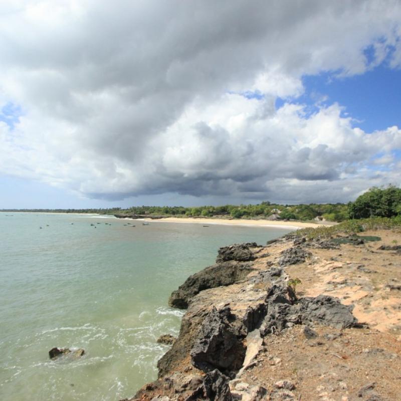 Terrain – villa - maison – propriété – à vendre – à louer – location - location longue durée – location à l’année – investissement – achat – vente – plage – bord de mer - sable blanc – Indonésie – Roti island – Bali – chambre – notaire – consultant - juridique – création - société – administration – voyage – entreprise – hôtel – commerce – restaurant – projet – visa – permis – travail – retraite – informations – découverte – aventure – produits – naturels – spa – salon – coiffure – réflexologie – savon – shampoing – anti-moustique – tourisme – plaisir – nature – surf – plongée – exploration – exotique – exotisme – massage – traditionnel – huile de massage – coucher de soleil – photos – galerie – soin de beauté – pédicure – manucure – agent immobilier – professionnel-Land - villa - house - property - for sale - rent - rental - leasing - rent annually - investment - purchase - sale - beach - sea - white sand - Indonesia - Rote island - Bali - bedroom - notary - consultant - legal - creation - company - administration - travel - business - hotel - shop - restaurant - project - visa - permit - work - retirement - information - discovery - adventure - products - natural - spa - lounge - hairdresser - reflexology - soap - shampoo – anti-mosquito – pleasure – nature – surf – diving – exploration - exotic - exotism - massage - traditional - massage oil - sunset - pictures - gallery - beauty treatment - pedicure – manicure – real estate agent – professional-Tanah - villa - rumah - properti - Dijual - disewakan - dikontrakan - menyewa per tahun - investasi - pembelian - penjualan - pantai - laut - pasir putih - Indonesia - pulau Roti - Bali - bedroom - notaris - konsultan - hukum - penciptaan - wisata - - bisnis - Hotel - bisnis - restoran - proyek - visa - izin - pekerjaan - pensiun - informasi - penemuan - petualangan - produk - spa - - alam ruang duduk - penata rambut - reflexology masyarakat - administrasi - sabun - shampoo – anti-nyamuk - Pariwisata - menyenangkan - semacam - surfing - diving – eksplorasi - eksotik - eksotis - pijat - tradisional - pijat minyak - sunset - Foto - galeri - perawatan kecantikan - pedicure – manicure – properti agen - Profesional