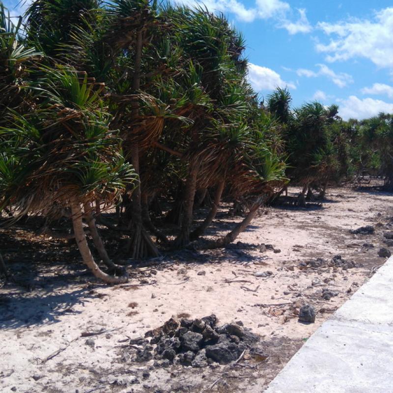 Terrain – villa - maison – propriété – à vendre – à louer – location - location longue durée – location à l’année – investissement – achat – vente – plage – bord de mer - sable blanc – Indonésie – Roti island – Bali – chambre – notaire – consultant - juridique – création - société – administration – voyage – entreprise – hôtel – commerce – restaurant – projet – visa – permis – travail – retraite – informations – découverte – aventure – produits – naturels – spa – salon – coiffure – réflexologie – savon – shampoing – anti-moustique – tourisme – plaisir – nature – surf – plongée – exploration – exotique – exotisme – massage – traditionnel – huile de massage – coucher de soleil – photos – galerie – soin de beauté – pédicure – manucure – agent immobilier – professionnel-Land - villa - house - property - for sale - rent - rental - leasing - rent annually - investment - purchase - sale - beach - sea - white sand - Indonesia - Rote island - Bali - bedroom - notary - consultant - legal - creation - company - administration - travel - business - hotel - shop - restaurant - project - visa - permit - work - retirement - information - discovery - adventure - products - natural - spa - lounge - hairdresser - reflexology - soap - shampoo – anti-mosquito – pleasure – nature – surf – diving – exploration - exotic - exotism - massage - traditional - massage oil - sunset - pictures - gallery - beauty treatment - pedicure – manicure – real estate agent – professional-Tanah - villa - rumah - properti - Dijual - disewakan - dikontrakan - menyewa per tahun - investasi - pembelian - penjualan - pantai - laut - pasir putih - Indonesia - pulau Roti - Bali - bedroom - notaris - konsultan - hukum - penciptaan - wisata - - bisnis - Hotel - bisnis - restoran - proyek - visa - izin - pekerjaan - pensiun - informasi - penemuan - petualangan - produk - spa - - alam ruang duduk - penata rambut - reflexology masyarakat - administrasi - sabun - shampoo – anti-nyamuk - Pariwisata - menyenangkan - semacam - surfing - diving – eksplorasi - eksotik - eksotis - pijat - tradisional - pijat minyak - sunset - Foto - galeri - perawatan kecantikan - pedicure – manicure – properti agen - Profesional