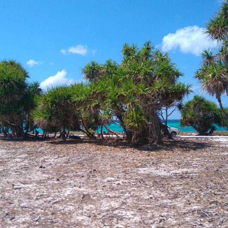 Terrain – villa - maison – propriété – à vendre – à louer – location - location longue durée – location à l’année – investissement – achat – vente – plage – bord de mer - sable blanc – Indonésie – Roti island – Bali – chambre – notaire – consultant - juridique – création - société – administration – voyage – entreprise – hôtel – commerce – restaurant – projet – visa – permis – travail – retraite – informations – découverte – aventure – produits – naturels – spa – salon – coiffure – réflexologie – savon – shampoing – anti-moustique – tourisme – plaisir – nature – surf – plongée – exploration – exotique – exotisme – massage – traditionnel – huile de massage – coucher de soleil – photos – galerie – soin de beauté – pédicure – manucure – agent immobilier – professionnel-Land - villa - house - property - for sale - rent - rental - leasing - rent annually - investment - purchase - sale - beach - sea - white sand - Indonesia - Rote island - Bali - bedroom - notary - consultant - legal - creation - company - administration - travel - business - hotel - shop - restaurant - project - visa - permit - work - retirement - information - discovery - adventure - products - natural - spa - lounge - hairdresser - reflexology - soap - shampoo – anti-mosquito – pleasure – nature – surf – diving – exploration - exotic - exotism - massage - traditional - massage oil - sunset - pictures - gallery - beauty treatment - pedicure – manicure – real estate agent – professional-Tanah - villa - rumah - properti - Dijual - disewakan - dikontrakan - menyewa per tahun - investasi - pembelian - penjualan - pantai - laut - pasir putih - Indonesia - pulau Roti - Bali - bedroom - notaris - konsultan - hukum - penciptaan - wisata - - bisnis - Hotel - bisnis - restoran - proyek - visa - izin - pekerjaan - pensiun - informasi - penemuan - petualangan - produk - spa - - alam ruang duduk - penata rambut - reflexology masyarakat - administrasi - sabun - shampoo – anti-nyamuk - Pariwisata - menyenangkan - semacam - surfing - diving – eksplorasi - eksotik - eksotis - pijat - tradisional - pijat minyak - sunset - Foto - galeri - perawatan kecantikan - pedicure – manicure – properti agen - Profesional