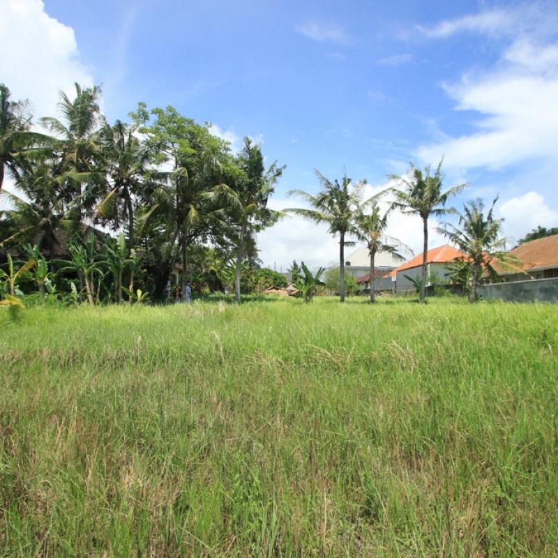 Terrain – villa - maison – propriété – à vendre – à louer – location - location longue durée – location à l’année – investissement – achat – vente – plage – bord de mer - sable blanc – Indonésie – Roti island – Bali – chambre – notaire – consultant - juridique – création - société – administration – voyage – entreprise – hôtel – commerce – restaurant – projet – visa – permis – travail – retraite – informations – découverte – aventure – produits – naturels – spa – salon – coiffure – réflexologie – savon – shampoing – anti-moustique – tourisme – plaisir – nature – surf – plongée – exploration – exotique – exotisme – massage – traditionnel – huile de massage – coucher de soleil – photos – galerie – soin de beauté – pédicure – manucure – agent immobilier – professionnel-Land - villa - house - property - for sale - rent - rental - leasing - rent annually - investment - purchase - sale - beach - sea - white sand - Indonesia - Rote island - Bali - bedroom - notary - consultant - legal - creation - company - administration - travel - business - hotel - shop - restaurant - project - visa - permit - work - retirement - information - discovery - adventure - products - natural - spa - lounge - hairdresser - reflexology - soap - shampoo – anti-mosquito – pleasure – nature – surf – diving – exploration - exotic - exotism - massage - traditional - massage oil - sunset - pictures - gallery - beauty treatment - pedicure – manicure – real estate agent – professional-Tanah - villa - rumah - properti - Dijual - disewakan - dikontrakan - menyewa per tahun - investasi - pembelian - penjualan - pantai - laut - pasir putih - Indonesia - pulau Roti - Bali - bedroom - notaris - konsultan - hukum - penciptaan - wisata - - bisnis - Hotel - bisnis - restoran - proyek - visa - izin - pekerjaan - pensiun - informasi - penemuan - petualangan - produk - spa - - alam ruang duduk - penata rambut - reflexology masyarakat - administrasi - sabun - shampoo – anti-nyamuk - Pariwisata - menyenangkan - semacam - surfing - diving – eksplorasi - eksotik - eksotis - pijat - tradisional - pijat minyak - sunset - Foto - galeri - perawatan kecantikan - pedicure – manicure – properti agen - Profesional