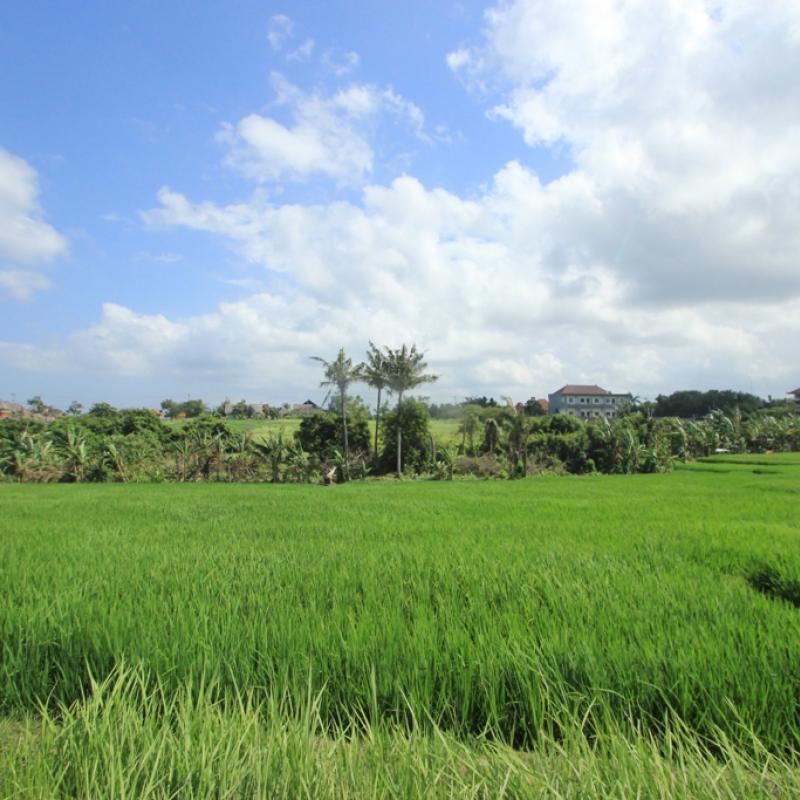 Terrain – villa - maison – propriété – à vendre – à louer – location - location longue durée – location à l’année – investissement – achat – vente – plage – bord de mer - sable blanc – Indonésie – Roti island – Bali – chambre – notaire – consultant - juridique – création - société – administration – voyage – entreprise – hôtel – commerce – restaurant – projet – visa – permis – travail – retraite – informations – découverte – aventure – produits – naturels – spa – salon – coiffure – réflexologie – savon – shampoing – anti-moustique – tourisme – plaisir – nature – surf – plongée – exploration – exotique – exotisme – massage – traditionnel – huile de massage – coucher de soleil – photos – galerie – soin de beauté – pédicure – manucure – agent immobilier – professionnel-Land - villa - house - property - for sale - rent - rental - leasing - rent annually - investment - purchase - sale - beach - sea - white sand - Indonesia - Rote island - Bali - bedroom - notary - consultant - legal - creation - company - administration - travel - business - hotel - shop - restaurant - project - visa - permit - work - retirement - information - discovery - adventure - products - natural - spa - lounge - hairdresser - reflexology - soap - shampoo – anti-mosquito – pleasure – nature – surf – diving – exploration - exotic - exotism - massage - traditional - massage oil - sunset - pictures - gallery - beauty treatment - pedicure – manicure – real estate agent – professional-Tanah - villa - rumah - properti - Dijual - disewakan - dikontrakan - menyewa per tahun - investasi - pembelian - penjualan - pantai - laut - pasir putih - Indonesia - pulau Roti - Bali - bedroom - notaris - konsultan - hukum - penciptaan - wisata - - bisnis - Hotel - bisnis - restoran - proyek - visa - izin - pekerjaan - pensiun - informasi - penemuan - petualangan - produk - spa - - alam ruang duduk - penata rambut - reflexology masyarakat - administrasi - sabun - shampoo – anti-nyamuk - Pariwisata - menyenangkan - semacam - surfing - diving – eksplorasi - eksotik - eksotis - pijat - tradisional - pijat minyak - sunset - Foto - galeri - perawatan kecantikan - pedicure – manicure – properti agen - Profesional