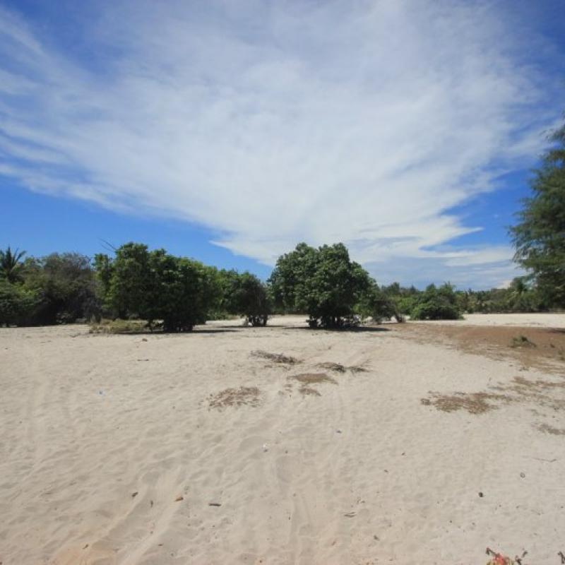 Terrain – villa - maison – propriété – à vendre – à louer – location - location longue durée – location à l’année – investissement – achat – vente – plage – bord de mer - sable blanc – Indonésie – Roti island – Bali – chambre – notaire – consultant - juridique – création - société – administration – voyage – entreprise – hôtel – commerce – restaurant – projet – visa – permis – travail – retraite – informations – découverte – aventure – produits – naturels – spa – salon – coiffure – réflexologie – savon – shampoing – anti-moustique – tourisme – plaisir – nature – surf – plongée – exploration – exotique – exotisme – massage – traditionnel – huile de massage – coucher de soleil – photos – galerie – soin de beauté – pédicure – manucure – agent immobilier – professionnel-Land - villa - house - property - for sale - rent - rental - leasing - rent annually - investment - purchase - sale - beach - sea - white sand - Indonesia - Rote island - Bali - bedroom - notary - consultant - legal - creation - company - administration - travel - business - hotel - shop - restaurant - project - visa - permit - work - retirement - information - discovery - adventure - products - natural - spa - lounge - hairdresser - reflexology - soap - shampoo – anti-mosquito – pleasure – nature – surf – diving – exploration - exotic - exotism - massage - traditional - massage oil - sunset - pictures - gallery - beauty treatment - pedicure – manicure – real estate agent – professional-Tanah - villa - rumah - properti - Dijual - disewakan - dikontrakan - menyewa per tahun - investasi - pembelian - penjualan - pantai - laut - pasir putih - Indonesia - pulau Roti - Bali - bedroom - notaris - konsultan - hukum - penciptaan - wisata - - bisnis - Hotel - bisnis - restoran - proyek - visa - izin - pekerjaan - pensiun - informasi - penemuan - petualangan - produk - spa - - alam ruang duduk - penata rambut - reflexology masyarakat - administrasi - sabun - shampoo – anti-nyamuk - Pariwisata - menyenangkan - semacam - surfing - diving – eksplorasi - eksotik - eksotis - pijat - tradisional - pijat minyak - sunset - Foto - galeri - perawatan kecantikan - pedicure – manicure – properti agen - Profesional