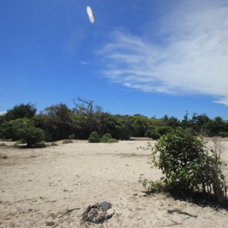 Terrain – villa - maison – propriété – à vendre – à louer – location - location longue durée – location à l’année – investissement – achat – vente – plage – bord de mer - sable blanc – Indonésie – Roti island – Bali – chambre – notaire – consultant - juridique – création - société – administration – voyage – entreprise – hôtel – commerce – restaurant – projet – visa – permis – travail – retraite – informations – découverte – aventure – produits – naturels – spa – salon – coiffure – réflexologie – savon – shampoing – anti-moustique – tourisme – plaisir – nature – surf – plongée – exploration – exotique – exotisme – massage – traditionnel – huile de massage – coucher de soleil – photos – galerie – soin de beauté – pédicure – manucure – agent immobilier – professionnel-Land - villa - house - property - for sale - rent - rental - leasing - rent annually - investment - purchase - sale - beach - sea - white sand - Indonesia - Rote island - Bali - bedroom - notary - consultant - legal - creation - company - administration - travel - business - hotel - shop - restaurant - project - visa - permit - work - retirement - information - discovery - adventure - products - natural - spa - lounge - hairdresser - reflexology - soap - shampoo – anti-mosquito – pleasure – nature – surf – diving – exploration - exotic - exotism - massage - traditional - massage oil - sunset - pictures - gallery - beauty treatment - pedicure – manicure – real estate agent – professional-Tanah - villa - rumah - properti - Dijual - disewakan - dikontrakan - menyewa per tahun - investasi - pembelian - penjualan - pantai - laut - pasir putih - Indonesia - pulau Roti - Bali - bedroom - notaris - konsultan - hukum - penciptaan - wisata - - bisnis - Hotel - bisnis - restoran - proyek - visa - izin - pekerjaan - pensiun - informasi - penemuan - petualangan - produk - spa - - alam ruang duduk - penata rambut - reflexology masyarakat - administrasi - sabun - shampoo – anti-nyamuk - Pariwisata - menyenangkan - semacam - surfing - diving – eksplorasi - eksotik - eksotis - pijat - tradisional - pijat minyak - sunset - Foto - galeri - perawatan kecantikan - pedicure – manicure – properti agen - Profesional