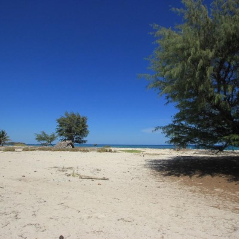 Terrain – villa - maison – propriété – à vendre – à louer – location - location longue durée – location à l’année – investissement – achat – vente – plage – bord de mer - sable blanc – Indonésie – Roti island – Bali – chambre – notaire – consultant - juridique – création - société – administration – voyage – entreprise – hôtel – commerce – restaurant – projet – visa – permis – travail – retraite – informations – découverte – aventure – produits – naturels – spa – salon – coiffure – réflexologie – savon – shampoing – anti-moustique – tourisme – plaisir – nature – surf – plongée – exploration – exotique – exotisme – massage – traditionnel – huile de massage – coucher de soleil – photos – galerie – soin de beauté – pédicure – manucure – agent immobilier – professionnel-Land - villa - house - property - for sale - rent - rental - leasing - rent annually - investment - purchase - sale - beach - sea - white sand - Indonesia - Rote island - Bali - bedroom - notary - consultant - legal - creation - company - administration - travel - business - hotel - shop - restaurant - project - visa - permit - work - retirement - information - discovery - adventure - products - natural - spa - lounge - hairdresser - reflexology - soap - shampoo – anti-mosquito – pleasure – nature – surf – diving – exploration - exotic - exotism - massage - traditional - massage oil - sunset - pictures - gallery - beauty treatment - pedicure – manicure – real estate agent – professional-Tanah - villa - rumah - properti - Dijual - disewakan - dikontrakan - menyewa per tahun - investasi - pembelian - penjualan - pantai - laut - pasir putih - Indonesia - pulau Roti - Bali - bedroom - notaris - konsultan - hukum - penciptaan - wisata - - bisnis - Hotel - bisnis - restoran - proyek - visa - izin - pekerjaan - pensiun - informasi - penemuan - petualangan - produk - spa - - alam ruang duduk - penata rambut - reflexology masyarakat - administrasi - sabun - shampoo – anti-nyamuk - Pariwisata - menyenangkan - semacam - surfing - diving – eksplorasi - eksotik - eksotis - pijat - tradisional - pijat minyak - sunset - Foto - galeri - perawatan kecantikan - pedicure – manicure – properti agen - Profesional