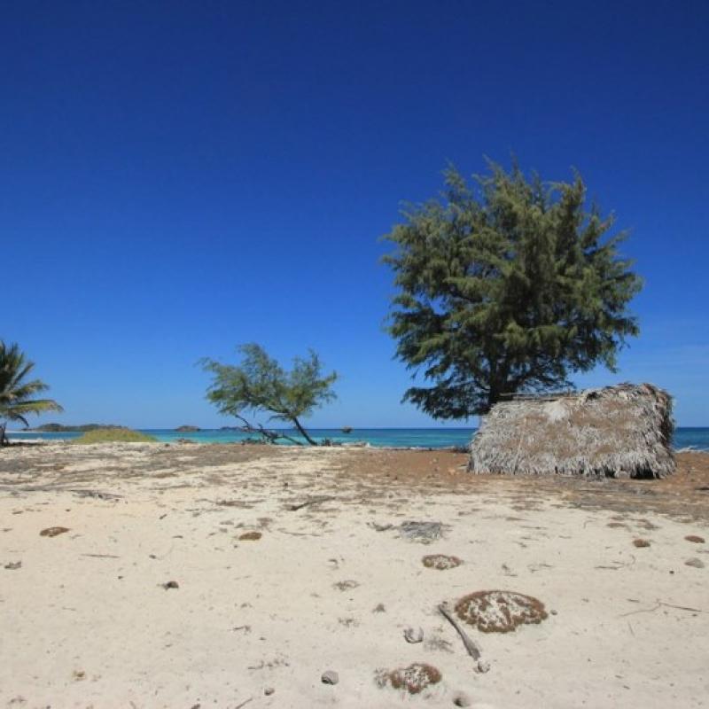 Terrain – villa - maison – propriété – à vendre – à louer – location - location longue durée – location à l’année – investissement – achat – vente – plage – bord de mer - sable blanc – Indonésie – Roti island – Bali – chambre – notaire – consultant - juridique – création - société – administration – voyage – entreprise – hôtel – commerce – restaurant – projet – visa – permis – travail – retraite – informations – découverte – aventure – produits – naturels – spa – salon – coiffure – réflexologie – savon – shampoing – anti-moustique – tourisme – plaisir – nature – surf – plongée – exploration – exotique – exotisme – massage – traditionnel – huile de massage – coucher de soleil – photos – galerie – soin de beauté – pédicure – manucure – agent immobilier – professionnel-Land - villa - house - property - for sale - rent - rental - leasing - rent annually - investment - purchase - sale - beach - sea - white sand - Indonesia - Rote island - Bali - bedroom - notary - consultant - legal - creation - company - administration - travel - business - hotel - shop - restaurant - project - visa - permit - work - retirement - information - discovery - adventure - products - natural - spa - lounge - hairdresser - reflexology - soap - shampoo – anti-mosquito – pleasure – nature – surf – diving – exploration - exotic - exotism - massage - traditional - massage oil - sunset - pictures - gallery - beauty treatment - pedicure – manicure – real estate agent – professional-Tanah - villa - rumah - properti - Dijual - disewakan - dikontrakan - menyewa per tahun - investasi - pembelian - penjualan - pantai - laut - pasir putih - Indonesia - pulau Roti - Bali - bedroom - notaris - konsultan - hukum - penciptaan - wisata - - bisnis - Hotel - bisnis - restoran - proyek - visa - izin - pekerjaan - pensiun - informasi - penemuan - petualangan - produk - spa - - alam ruang duduk - penata rambut - reflexology masyarakat - administrasi - sabun - shampoo – anti-nyamuk - Pariwisata - menyenangkan - semacam - surfing - diving – eksplorasi - eksotik - eksotis - pijat - tradisional - pijat minyak - sunset - Foto - galeri - perawatan kecantikan - pedicure – manicure – properti agen - Profesional