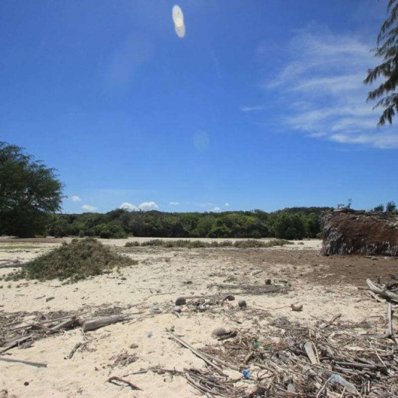 Terrain – villa - maison – propriété – à vendre – à louer – location - location longue durée – location à l’année – investissement – achat – vente – plage – bord de mer - sable blanc – Indonésie – Roti island – Bali – chambre – notaire – consultant - juridique – création - société – administration – voyage – entreprise – hôtel – commerce – restaurant – projet – visa – permis – travail – retraite – informations – découverte – aventure – produits – naturels – spa – salon – coiffure – réflexologie – savon – shampoing – anti-moustique – tourisme – plaisir – nature – surf – plongée – exploration – exotique – exotisme – massage – traditionnel – huile de massage – coucher de soleil – photos – galerie – soin de beauté – pédicure – manucure – agent immobilier – professionnel-Land - villa - house - property - for sale - rent - rental - leasing - rent annually - investment - purchase - sale - beach - sea - white sand - Indonesia - Rote island - Bali - bedroom - notary - consultant - legal - creation - company - administration - travel - business - hotel - shop - restaurant - project - visa - permit - work - retirement - information - discovery - adventure - products - natural - spa - lounge - hairdresser - reflexology - soap - shampoo – anti-mosquito – pleasure – nature – surf – diving – exploration - exotic - exotism - massage - traditional - massage oil - sunset - pictures - gallery - beauty treatment - pedicure – manicure – real estate agent – professional-Tanah - villa - rumah - properti - Dijual - disewakan - dikontrakan - menyewa per tahun - investasi - pembelian - penjualan - pantai - laut - pasir putih - Indonesia - pulau Roti - Bali - bedroom - notaris - konsultan - hukum - penciptaan - wisata - - bisnis - Hotel - bisnis - restoran - proyek - visa - izin - pekerjaan - pensiun - informasi - penemuan - petualangan - produk - spa - - alam ruang duduk - penata rambut - reflexology masyarakat - administrasi - sabun - shampoo – anti-nyamuk - Pariwisata - menyenangkan - semacam - surfing - diving – eksplorasi - eksotik - eksotis - pijat - tradisional - pijat minyak - sunset - Foto - galeri - perawatan kecantikan - pedicure – manicure – properti agen - Profesional