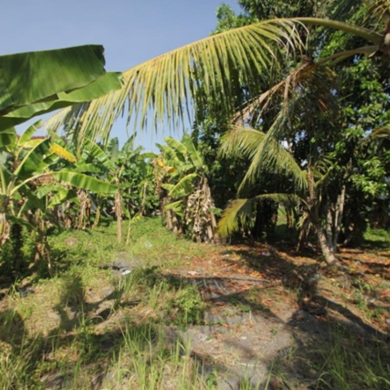 Terrain – villa - maison – propriété – à vendre – à louer – location - location longue durée – location à l’année – investissement – achat – vente – plage – bord de mer - sable blanc – Indonésie – Roti island – Bali – chambre – notaire – consultant - juridique – création - société – administration – voyage – entreprise – hôtel – commerce – restaurant – projet – visa – permis – travail – retraite – informations – découverte – aventure – produits – naturels – spa – salon – coiffure – réflexologie – savon – shampoing – anti-moustique – tourisme – plaisir – nature – surf – plongée – exploration – exotique – exotisme – massage – traditionnel – huile de massage – coucher de soleil – photos – galerie – soin de beauté – pédicure – manucure – agent immobilier – professionnel-Land - villa - house - property - for sale - rent - rental - leasing - rent annually - investment - purchase - sale - beach - sea - white sand - Indonesia - Rote island - Bali - bedroom - notary - consultant - legal - creation - company - administration - travel - business - hotel - shop - restaurant - project - visa - permit - work - retirement - information - discovery - adventure - products - natural - spa - lounge - hairdresser - reflexology - soap - shampoo – anti-mosquito – pleasure – nature – surf – diving – exploration - exotic - exotism - massage - traditional - massage oil - sunset - pictures - gallery - beauty treatment - pedicure – manicure – real estate agent – professional-Tanah - villa - rumah - properti - Dijual - disewakan - dikontrakan - menyewa per tahun - investasi - pembelian - penjualan - pantai - laut - pasir putih - Indonesia - pulau Roti - Bali - bedroom - notaris - konsultan - hukum - penciptaan - wisata - - bisnis - Hotel - bisnis - restoran - proyek - visa - izin - pekerjaan - pensiun - informasi - penemuan - petualangan - produk - spa - - alam ruang duduk - penata rambut - reflexology masyarakat - administrasi - sabun - shampoo – anti-nyamuk - Pariwisata - menyenangkan - semacam - surfing - diving – eksplorasi - eksotik - eksotis - pijat - tradisional - pijat minyak - sunset - Foto - galeri - perawatan kecantikan - pedicure – manicure – properti agen - Profesional