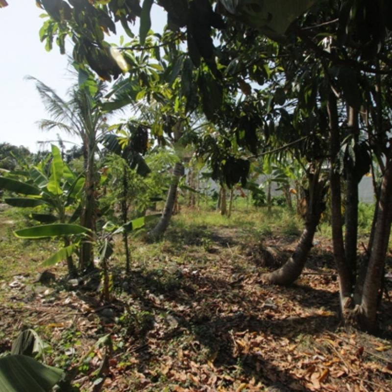 Terrain – villa - maison – propriété – à vendre – à louer – location - location longue durée – location à l’année – investissement – achat – vente – plage – bord de mer - sable blanc – Indonésie – Roti island – Bali – chambre – notaire – consultant - juridique – création - société – administration – voyage – entreprise – hôtel – commerce – restaurant – projet – visa – permis – travail – retraite – informations – découverte – aventure – produits – naturels – spa – salon – coiffure – réflexologie – savon – shampoing – anti-moustique – tourisme – plaisir – nature – surf – plongée – exploration – exotique – exotisme – massage – traditionnel – huile de massage – coucher de soleil – photos – galerie – soin de beauté – pédicure – manucure – agent immobilier – professionnel-Land - villa - house - property - for sale - rent - rental - leasing - rent annually - investment - purchase - sale - beach - sea - white sand - Indonesia - Rote island - Bali - bedroom - notary - consultant - legal - creation - company - administration - travel - business - hotel - shop - restaurant - project - visa - permit - work - retirement - information - discovery - adventure - products - natural - spa - lounge - hairdresser - reflexology - soap - shampoo – anti-mosquito – pleasure – nature – surf – diving – exploration - exotic - exotism - massage - traditional - massage oil - sunset - pictures - gallery - beauty treatment - pedicure – manicure – real estate agent – professional-Tanah - villa - rumah - properti - Dijual - disewakan - dikontrakan - menyewa per tahun - investasi - pembelian - penjualan - pantai - laut - pasir putih - Indonesia - pulau Roti - Bali - bedroom - notaris - konsultan - hukum - penciptaan - wisata - - bisnis - Hotel - bisnis - restoran - proyek - visa - izin - pekerjaan - pensiun - informasi - penemuan - petualangan - produk - spa - - alam ruang duduk - penata rambut - reflexology masyarakat - administrasi - sabun - shampoo – anti-nyamuk - Pariwisata - menyenangkan - semacam - surfing - diving – eksplorasi - eksotik - eksotis - pijat - tradisional - pijat minyak - sunset - Foto - galeri - perawatan kecantikan - pedicure – manicure – properti agen - Profesional