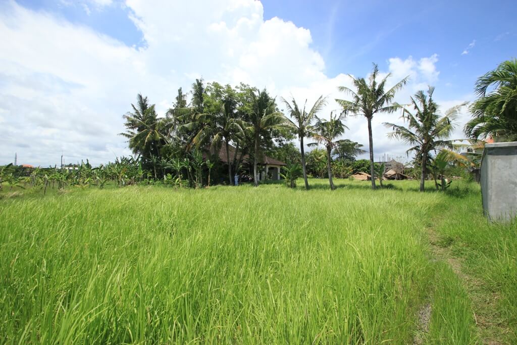 Terrain – villa - maison – propriété – à vendre – à louer – location - location longue durée – location à l’année – investissement – achat – vente – plage – bord de mer - sable blanc – Indonésie – Roti island – Bali – chambre – notaire – consultant - juridique – création - société – administration – voyage – entreprise – hôtel – commerce – restaurant – projet – visa – permis – travail – retraite – informations – découverte – aventure – produits – naturels – spa – salon – coiffure – réflexologie – savon – shampoing – anti-moustique – tourisme – plaisir – nature – surf – plongée – exploration – exotique – exotisme – massage – traditionnel – huile de massage – coucher de soleil – photos – galerie – soin de beauté – pédicure – manucure – agent immobilier – professionnel-Land - villa - house - property - for sale - rent - rental - leasing - rent annually - investment - purchase - sale - beach - sea - white sand - Indonesia - Rote island - Bali - bedroom - notary - consultant - legal - creation - company - administration - travel - business - hotel - shop - restaurant - project - visa - permit - work - retirement - information - discovery - adventure - products - natural - spa - lounge - hairdresser - reflexology - soap - shampoo – anti-mosquito – pleasure – nature – surf – diving – exploration - exotic - exotism - massage - traditional - massage oil - sunset - pictures - gallery - beauty treatment - pedicure – manicure – real estate agent – professional-Tanah - villa - rumah - properti - Dijual - disewakan - dikontrakan - menyewa per tahun - investasi - pembelian - penjualan - pantai - laut - pasir putih - Indonesia - pulau Roti - Bali - bedroom - notaris - konsultan - hukum - penciptaan - wisata - - bisnis - Hotel - bisnis - restoran - proyek - visa - izin - pekerjaan - pensiun - informasi - penemuan - petualangan - produk - spa - - alam ruang duduk - penata rambut - reflexology masyarakat - administrasi - sabun - shampoo – anti-nyamuk - Pariwisata - menyenangkan - semacam - surfing - diving – eksplorasi - eksotik - eksotis - pijat - tradisional - pijat minyak - sunset - Foto - galeri - perawatan kecantikan - pedicure – manicure – properti agen - Profesional