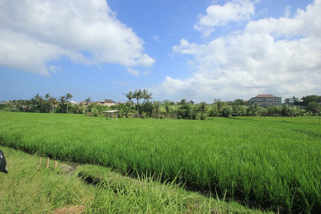 Terrain – villa - maison – propriété – à vendre – à louer – location - location longue durée – location à l’année – investissement – achat – vente – plage – bord de mer - sable blanc – Indonésie – Roti island – Bali – chambre – notaire – consultant - juridique – création - société – administration – voyage – entreprise – hôtel – commerce – restaurant – projet – visa – permis – travail – retraite – informations – découverte – aventure – produits – naturels – spa – salon – coiffure – réflexologie – savon – shampoing – anti-moustique – tourisme – plaisir – nature – surf – plongée – exploration – exotique – exotisme – massage – traditionnel – huile de massage – coucher de soleil – photos – galerie – soin de beauté – pédicure – manucure – agent immobilier – professionnel-Land - villa - house - property - for sale - rent - rental - leasing - rent annually - investment - purchase - sale - beach - sea - white sand - Indonesia - Rote island - Bali - bedroom - notary - consultant - legal - creation - company - administration - travel - business - hotel - shop - restaurant - project - visa - permit - work - retirement - information - discovery - adventure - products - natural - spa - lounge - hairdresser - reflexology - soap - shampoo – anti-mosquito – pleasure – nature – surf – diving – exploration - exotic - exotism - massage - traditional - massage oil - sunset - pictures - gallery - beauty treatment - pedicure – manicure – real estate agent – professional-Tanah - villa - rumah - properti - Dijual - disewakan - dikontrakan - menyewa per tahun - investasi - pembelian - penjualan - pantai - laut - pasir putih - Indonesia - pulau Roti - Bali - bedroom - notaris - konsultan - hukum - penciptaan - wisata - - bisnis - Hotel - bisnis - restoran - proyek - visa - izin - pekerjaan - pensiun - informasi - penemuan - petualangan - produk - spa - - alam ruang duduk - penata rambut - reflexology masyarakat - administrasi - sabun - shampoo – anti-nyamuk - Pariwisata - menyenangkan - semacam - surfing - diving – eksplorasi - eksotik - eksotis - pijat - tradisional - pijat minyak - sunset - Foto - galeri - perawatan kecantikan - pedicure – manicure – properti agen - Profesional