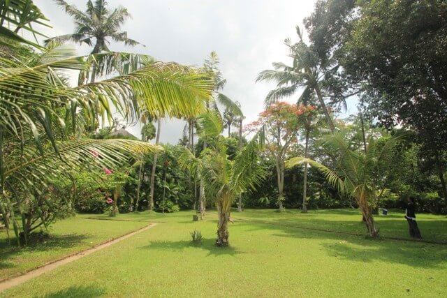 Terrain – villa - maison – propriété – à vendre – à louer – location - location longue durée – location à l’année – investissement – achat – vente – plage – bord de mer - sable blanc – Indonésie – Roti island – Bali – chambre – notaire – consultant - juridique – création - société – administration – voyage – entreprise – hôtel – commerce – restaurant – projet – visa – permis – travail – retraite – informations – découverte – aventure – produits – naturels – spa – salon – coiffure – réflexologie – savon – shampoing – anti-moustique – tourisme – plaisir – nature – surf – plongée – exploration – exotique – exotisme – massage – traditionnel – huile de massage – coucher de soleil – photos – galerie – soin de beauté – pédicure – manucure – agent immobilier – professionnel-Land - villa - house - property - for sale - rent - rental - leasing - rent annually - investment - purchase - sale - beach - sea - white sand - Indonesia - Rote island - Bali - bedroom - notary - consultant - legal - creation - company - administration - travel - business - hotel - shop - restaurant - project - visa - permit - work - retirement - information - discovery - adventure - products - natural - spa - lounge - hairdresser - reflexology - soap - shampoo – anti-mosquito – pleasure – nature – surf – diving – exploration - exotic - exotism - massage - traditional - massage oil - sunset - pictures - gallery - beauty treatment - pedicure – manicure – real estate agent – professional-Tanah - villa - rumah - properti - Dijual - disewakan - dikontrakan - menyewa per tahun - investasi - pembelian - penjualan - pantai - laut - pasir putih - Indonesia - pulau Roti - Bali - bedroom - notaris - konsultan - hukum - penciptaan - wisata - - bisnis - Hotel - bisnis - restoran - proyek - visa - izin - pekerjaan - pensiun - informasi - penemuan - petualangan - produk - spa - - alam ruang duduk - penata rambut - reflexology masyarakat - administrasi - sabun - shampoo – anti-nyamuk - Pariwisata - menyenangkan - semacam - surfing - diving – eksplorasi - eksotik - eksotis - pijat - tradisional - pijat minyak - sunset - Foto - galeri - perawatan kecantikan - pedicure – manicure – properti agen - Profesional