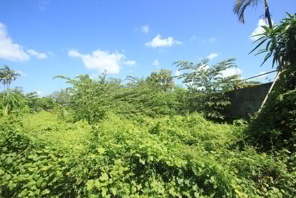 Terrain – villa - maison – propriété – à vendre – à louer – location - location longue durée – location à l’année – investissement – achat – vente – plage – bord de mer - sable blanc – Indonésie – Roti island – Bali – chambre – notaire – consultant - juridique – création - société – administration – voyage – entreprise – hôtel – commerce – restaurant – projet – visa – permis – travail – retraite – informations – découverte – aventure – produits – naturels – spa – salon – coiffure – réflexologie – savon – shampoing – anti-moustique – tourisme – plaisir – nature – surf – plongée – exploration – exotique – exotisme – massage – traditionnel – huile de massage – coucher de soleil – photos – galerie – soin de beauté – pédicure – manucure – agent immobilier – professionnel-Land - villa - house - property - for sale - rent - rental - leasing - rent annually - investment - purchase - sale - beach - sea - white sand - Indonesia - Rote island - Bali - bedroom - notary - consultant - legal - creation - company - administration - travel - business - hotel - shop - restaurant - project - visa - permit - work - retirement - information - discovery - adventure - products - natural - spa - lounge - hairdresser - reflexology - soap - shampoo – anti-mosquito – pleasure – nature – surf – diving – exploration - exotic - exotism - massage - traditional - massage oil - sunset - pictures - gallery - beauty treatment - pedicure – manicure – real estate agent – professional-Tanah - villa - rumah - properti - Dijual - disewakan - dikontrakan - menyewa per tahun - investasi - pembelian - penjualan - pantai - laut - pasir putih - Indonesia - pulau Roti - Bali - bedroom - notaris - konsultan - hukum - penciptaan - wisata - - bisnis - Hotel - bisnis - restoran - proyek - visa - izin - pekerjaan - pensiun - informasi - penemuan - petualangan - produk - spa - - alam ruang duduk - penata rambut - reflexology masyarakat - administrasi - sabun - shampoo – anti-nyamuk - Pariwisata - menyenangkan - semacam - surfing - diving – eksplorasi - eksotik - eksotis - pijat - tradisional - pijat minyak - sunset - Foto - galeri - perawatan kecantikan - pedicure – manicure – properti agen - Profesional